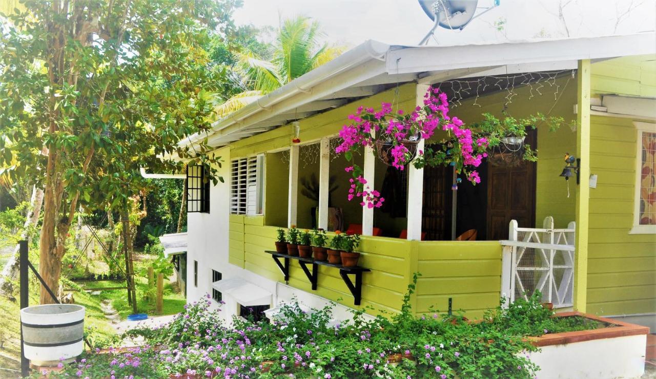 Leatherback Lodge Eco B&B Salybia 外观 照片