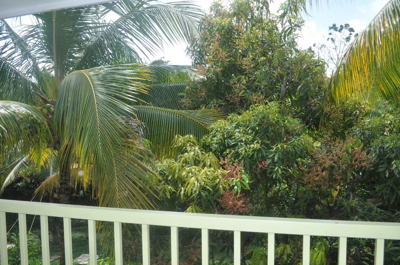 Leatherback Lodge Eco B&B Salybia 外观 照片