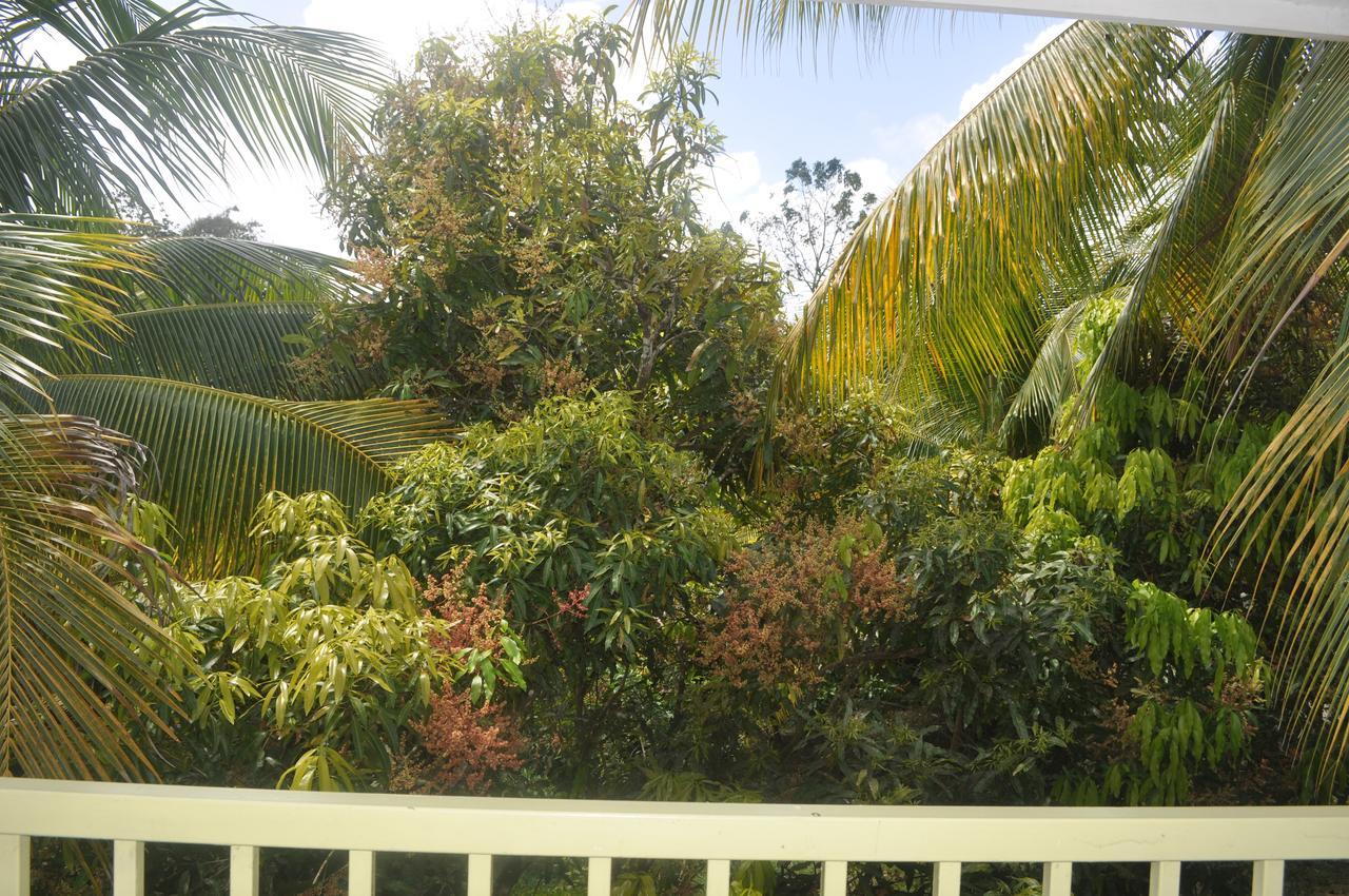 Leatherback Lodge Eco B&B Salybia 外观 照片