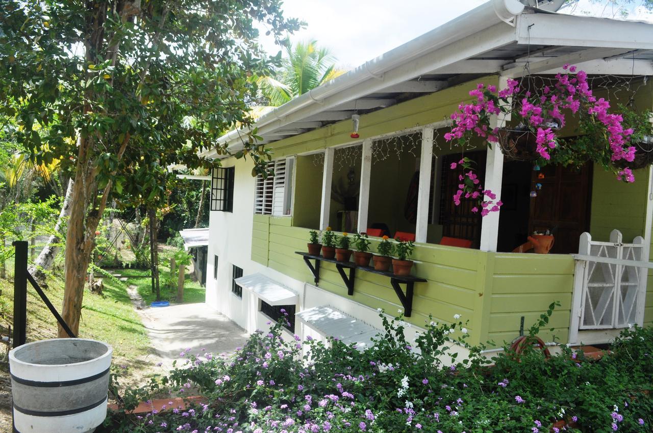 Leatherback Lodge Eco B&B Salybia 外观 照片