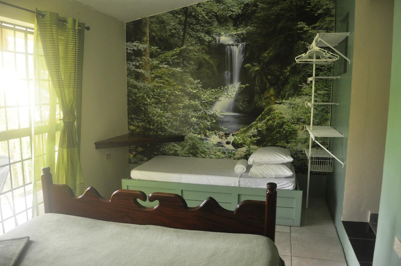 Leatherback Lodge Eco B&B Salybia 外观 照片