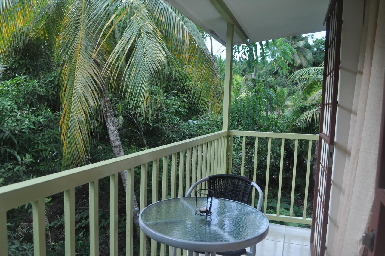 Leatherback Lodge Eco B&B Salybia 外观 照片